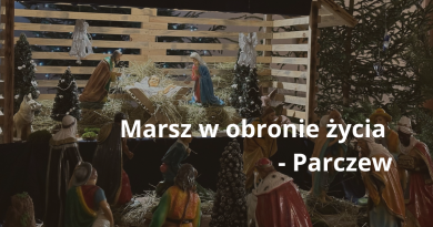 Marsz w obronie życia - Parczew 28.12.2023